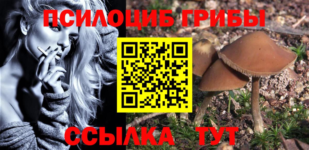 Галлюциногенные грибы MAGIC MUSHROOMS Минеральные Воды
