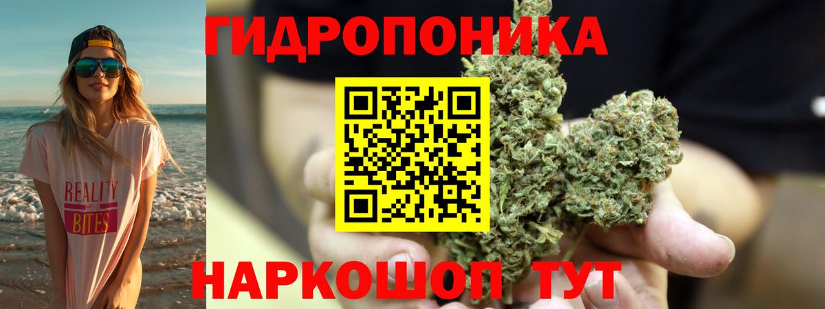 Бошки марихуана конопля Минеральные Воды